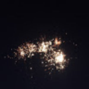 Meet your Posher, Ella